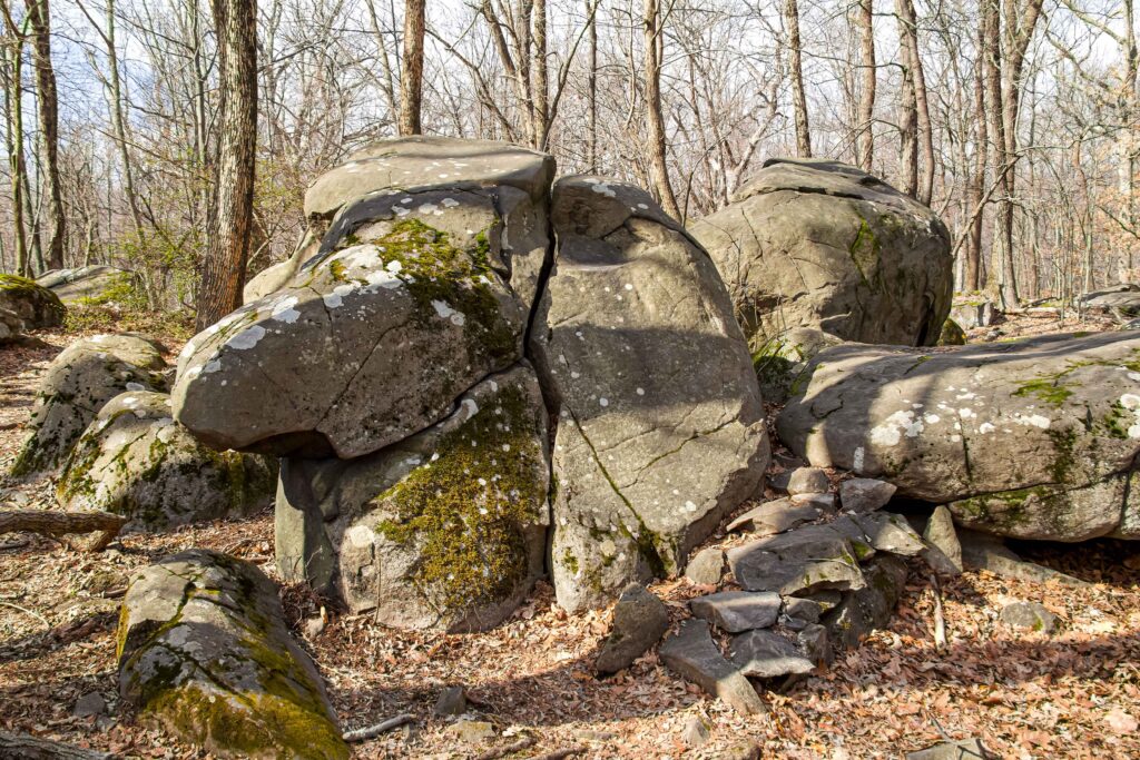 Basset Hound Rock, Sourland Mountain Preserve, NJ