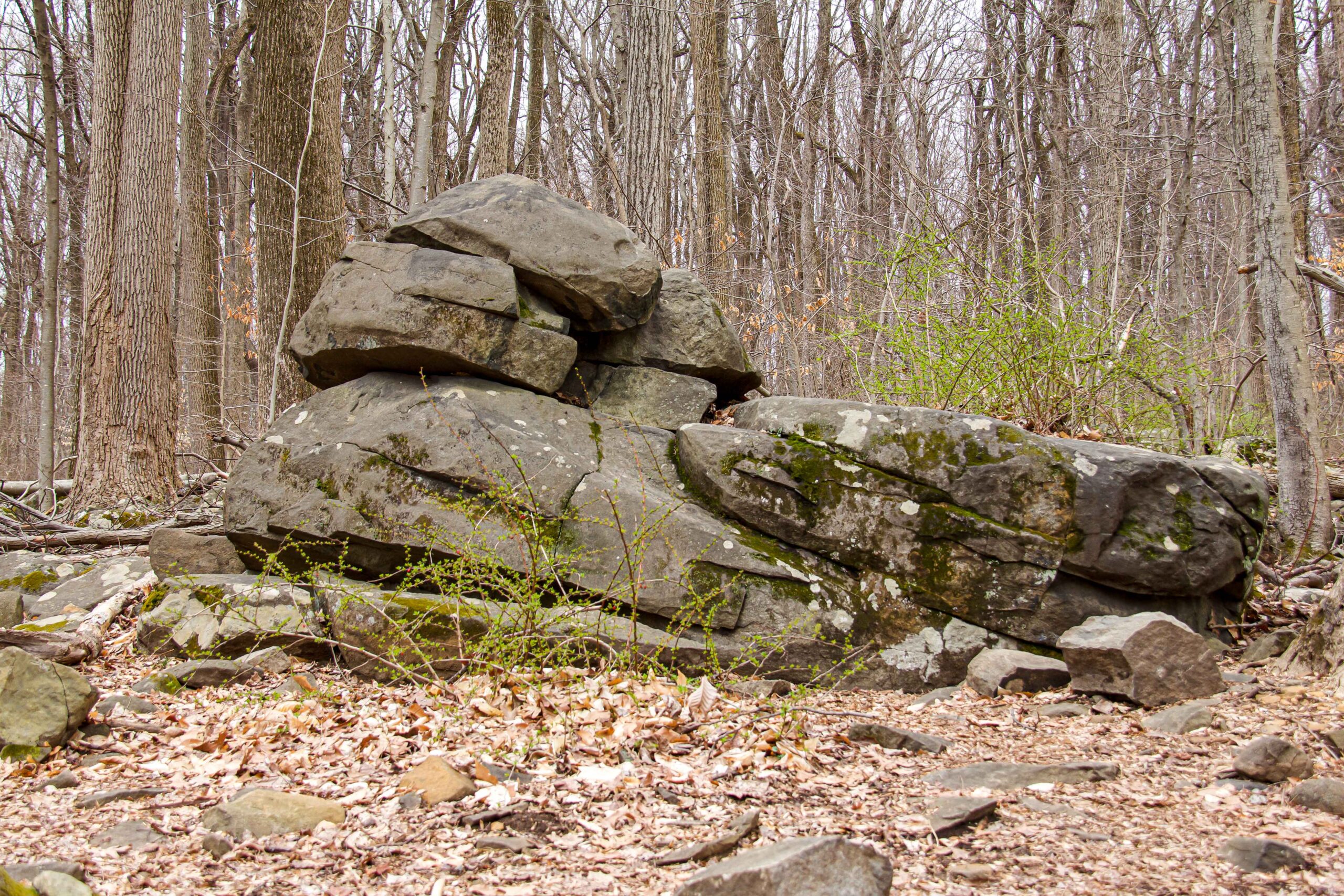 Sphinx of Sourland, Sourland Mountain Preserve, NJ