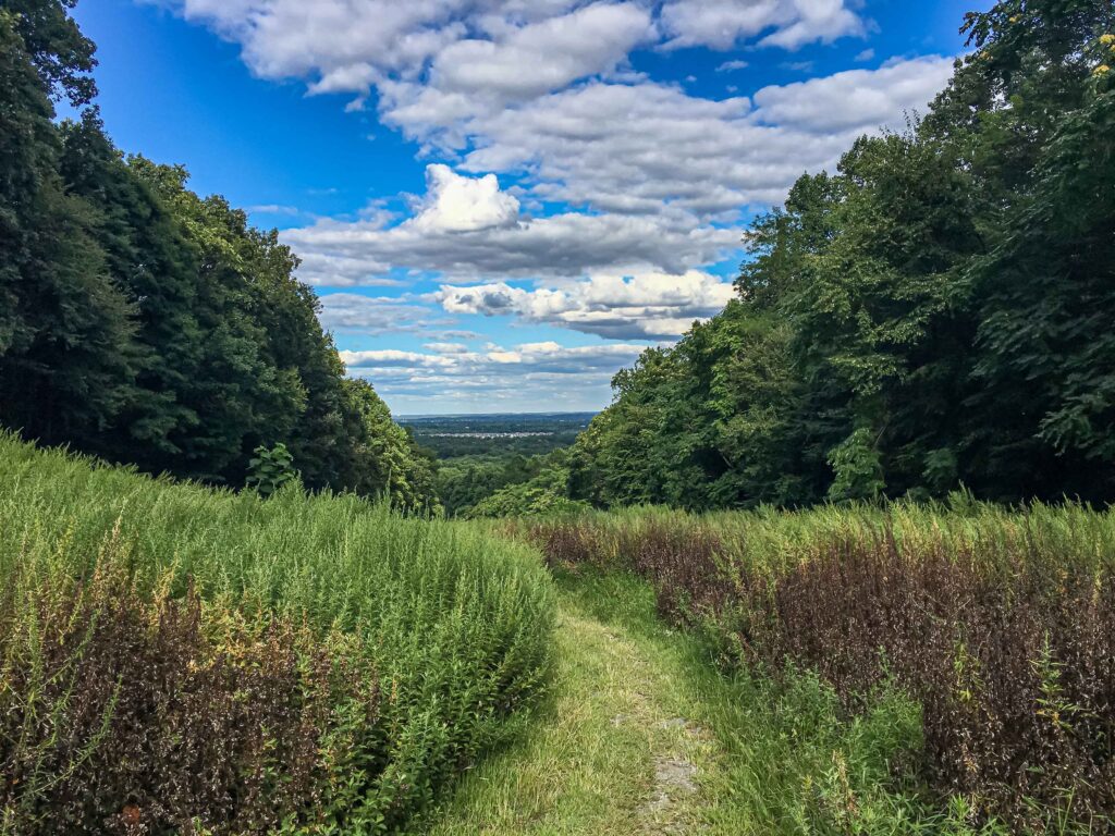 NYC Skyline Viewpoint, Sourland Mountains, NJ