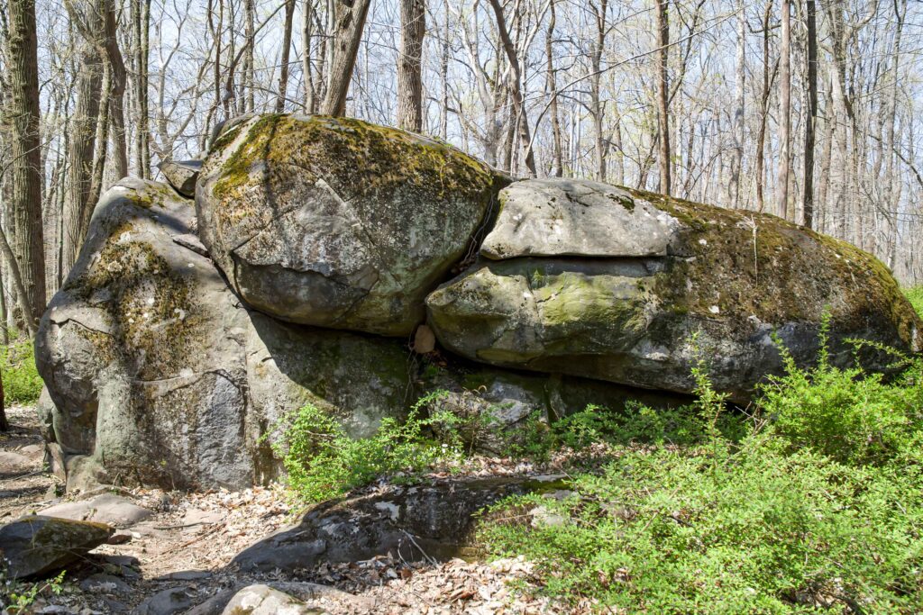 Yoda Rock, Sourland Mountain Preserve, NJ